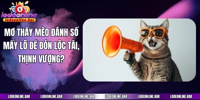 Mơ Thấy Mèo Đánh Số Mấy Lô Đề Đón Lộc Tài, Thịnh Vượng?